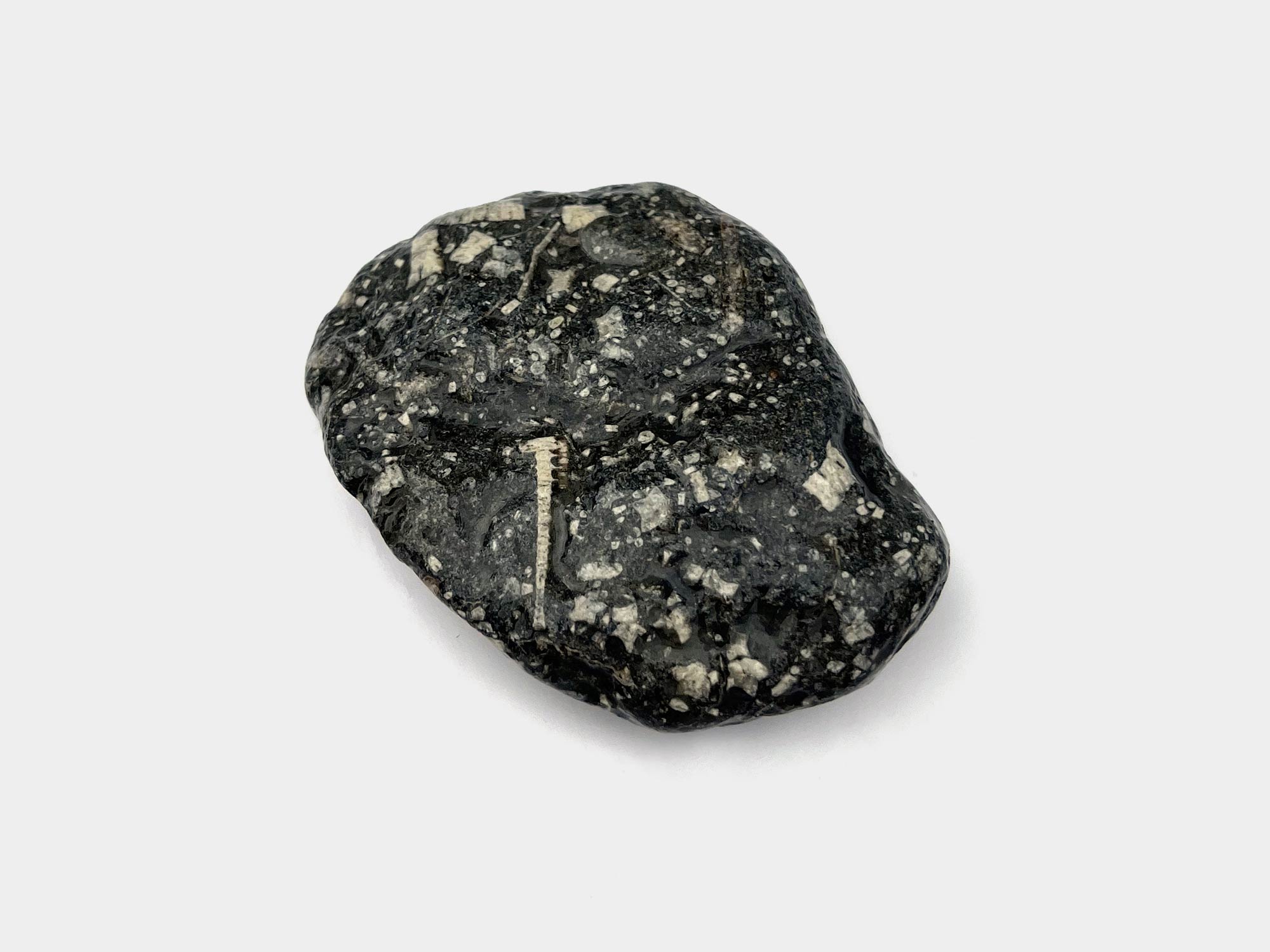 Found on Lyme Regis beach, Dorset, England. January 2023