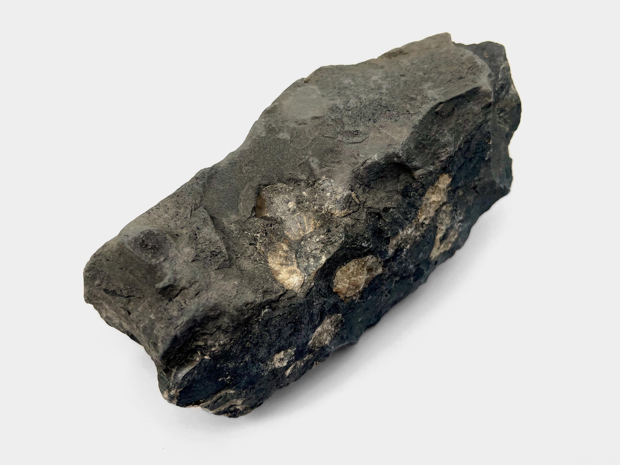 Charmouth, Dorset, England. June 2022