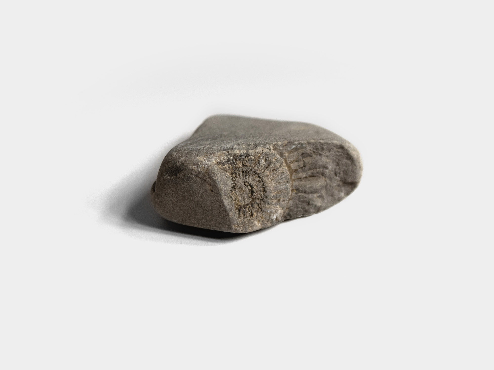 Found in south east England