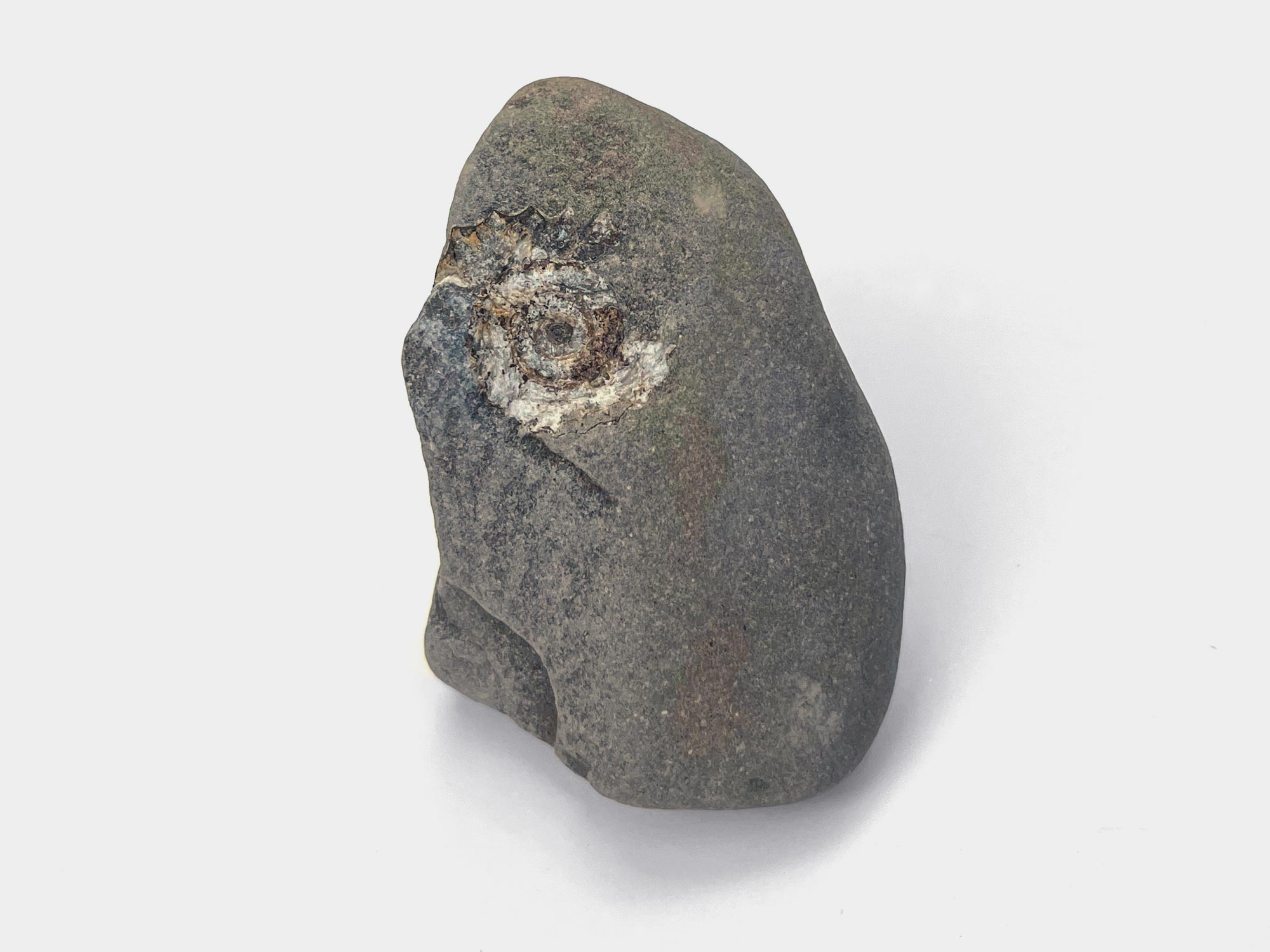 Lyme Regis, Dorset, England. June 2022