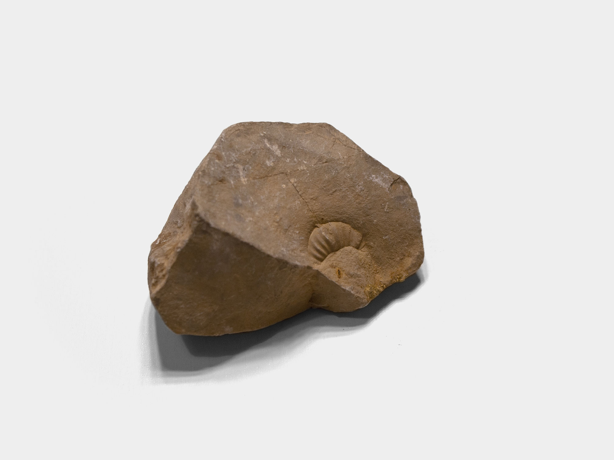 Lyme Regis beach, Dorset, England. 1996