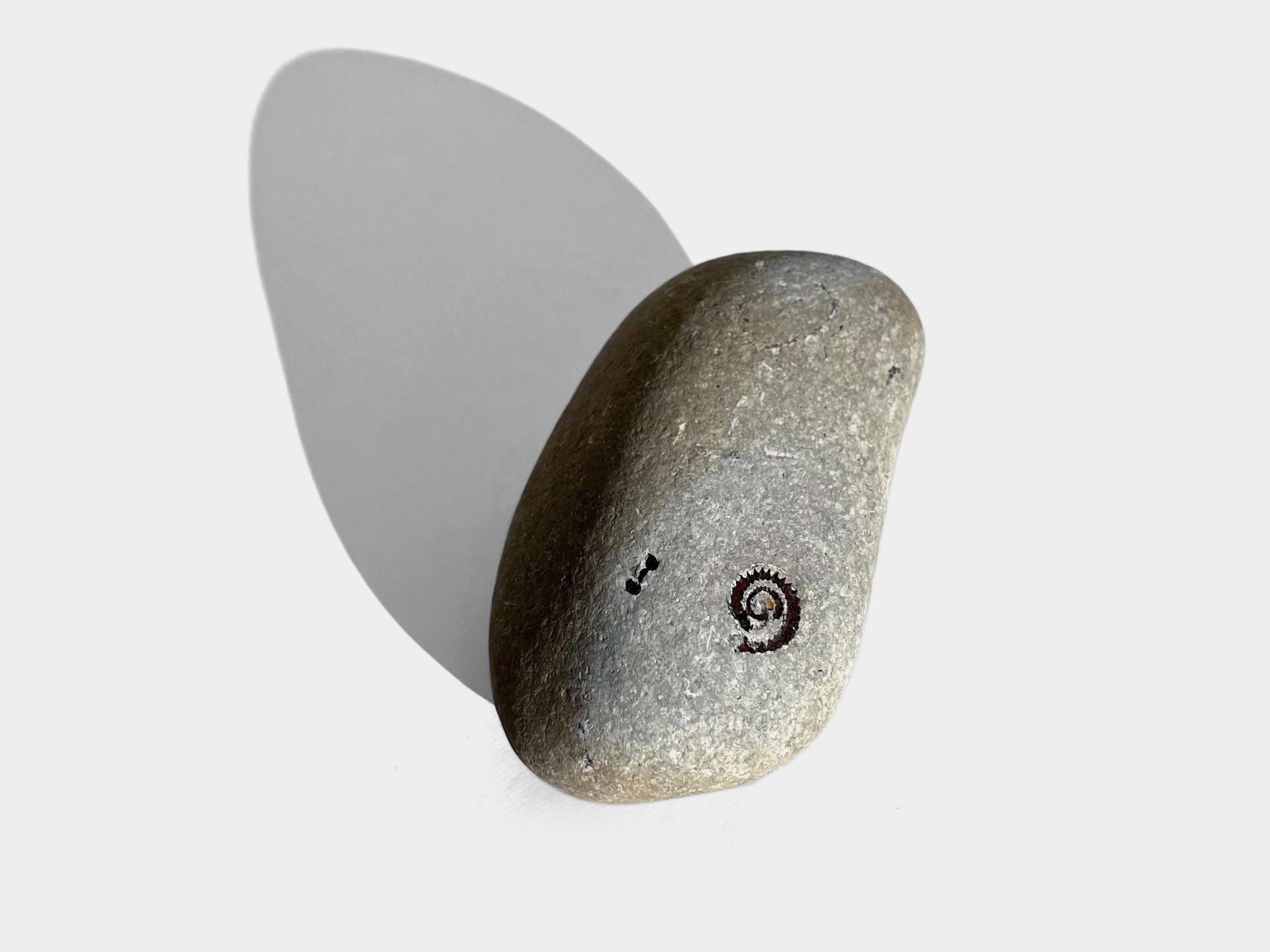 Pyrite ammonite. Lyme Regis beach, Dorset, England. 1996