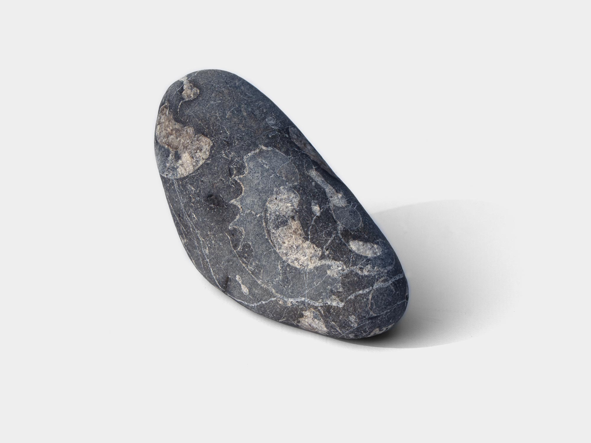 Lyme Regis, Dorset, England. October 2021