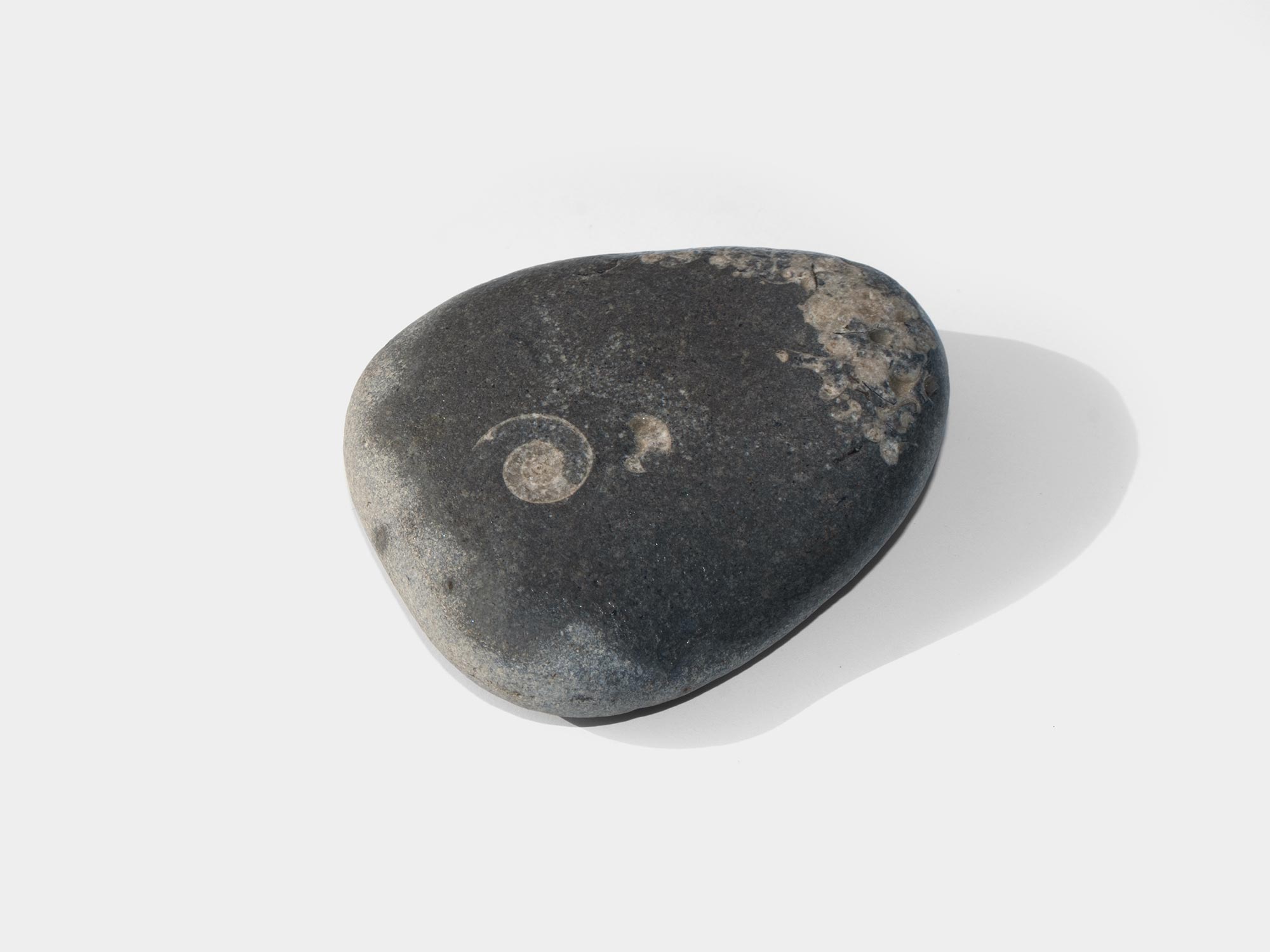 Lyme Regis, Dorset, England. October 2021