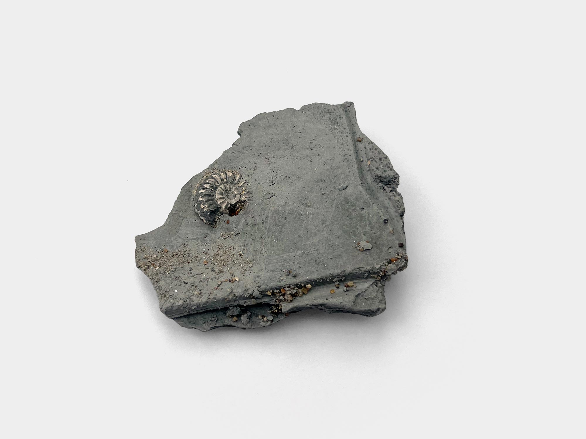 Seatown beach, Dorset, England. January 2023