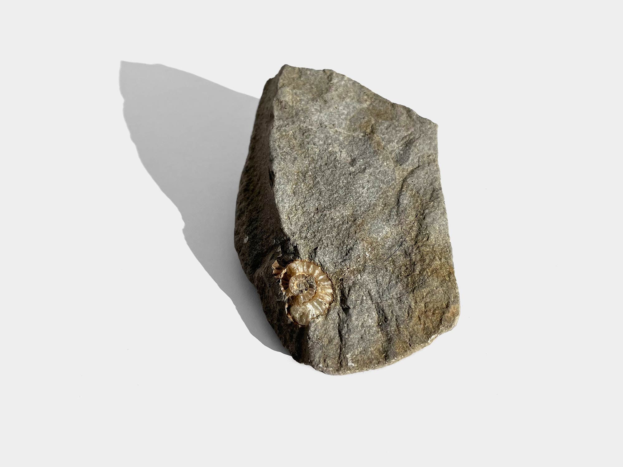 Lyme Regis beach, Dorset, England. 1996