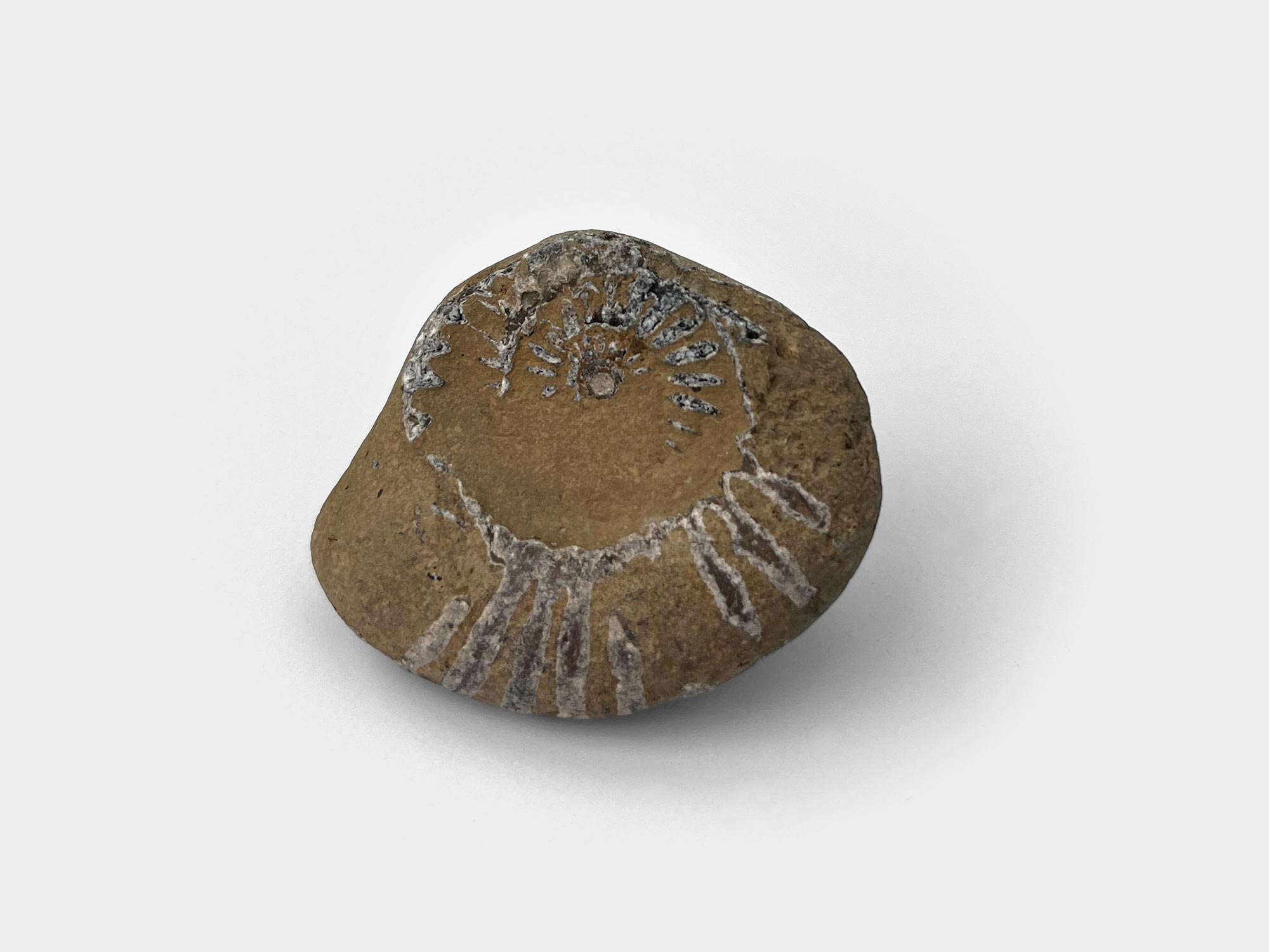 Seatown beach, Dorset, England. January 2023