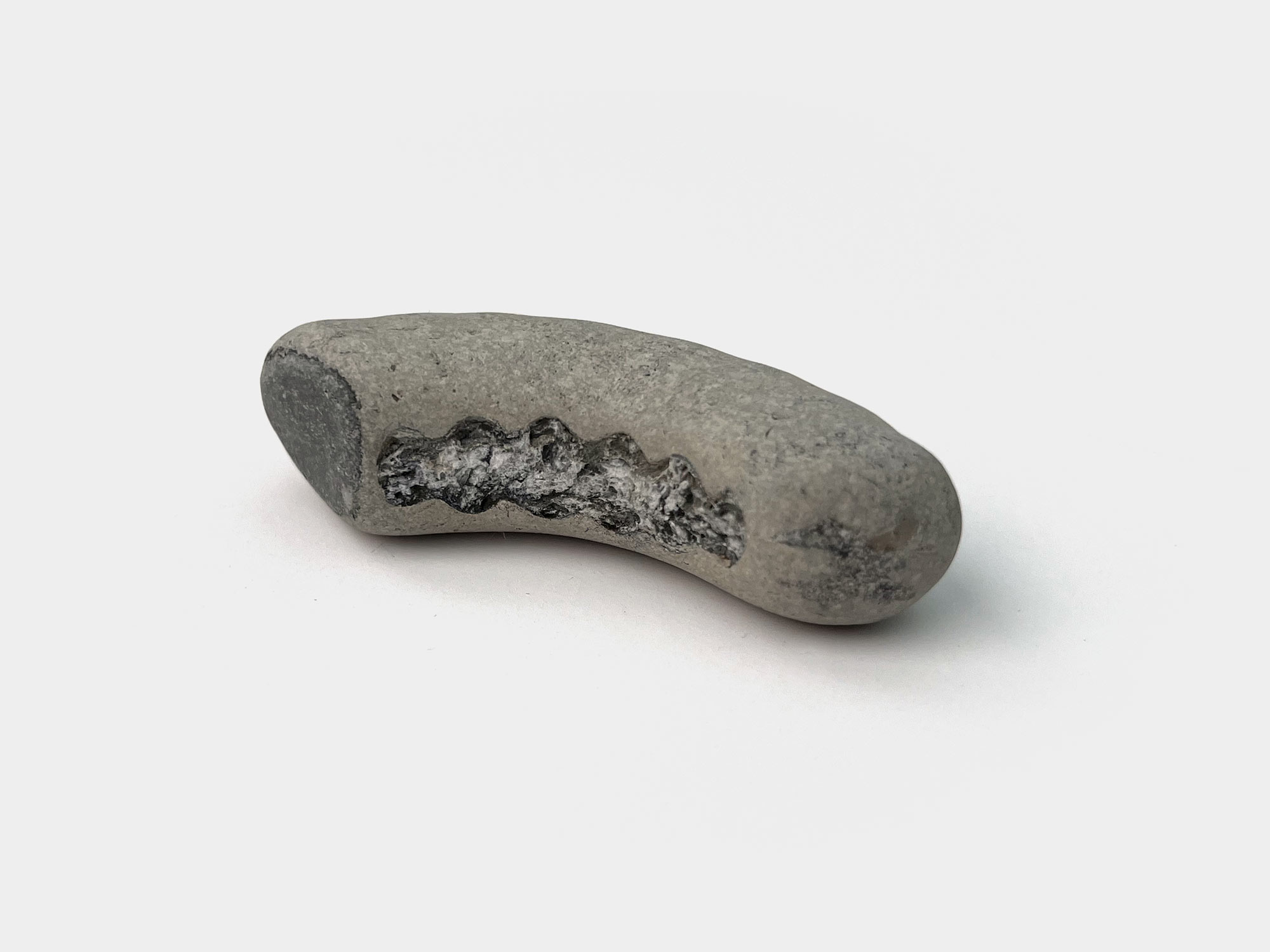 Partial ammonite. Seatown beach, Dorset, England. January 2023