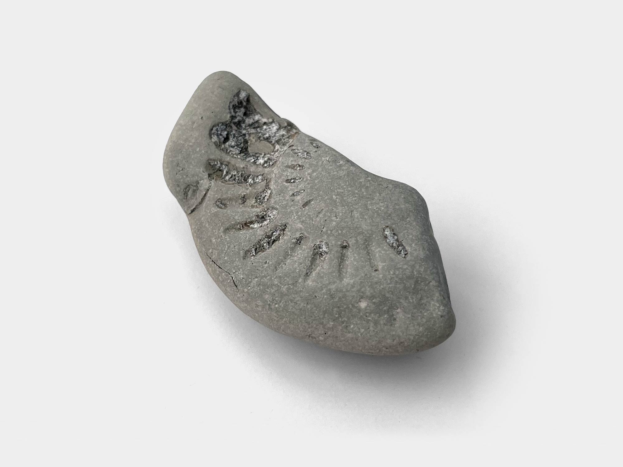 Seatown beach, Dorset, England. January 2023