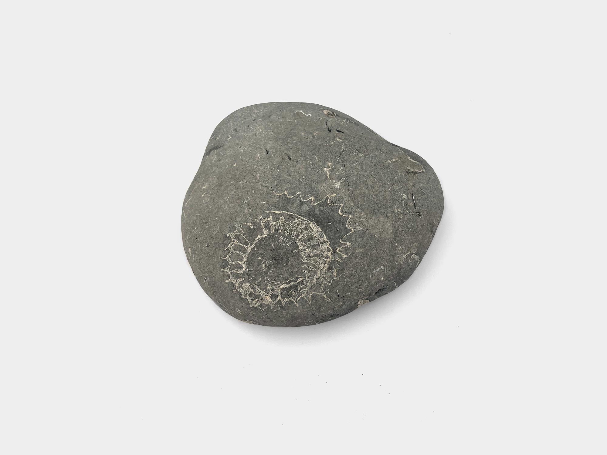 Seatown beach, Dorset, England. January 2023