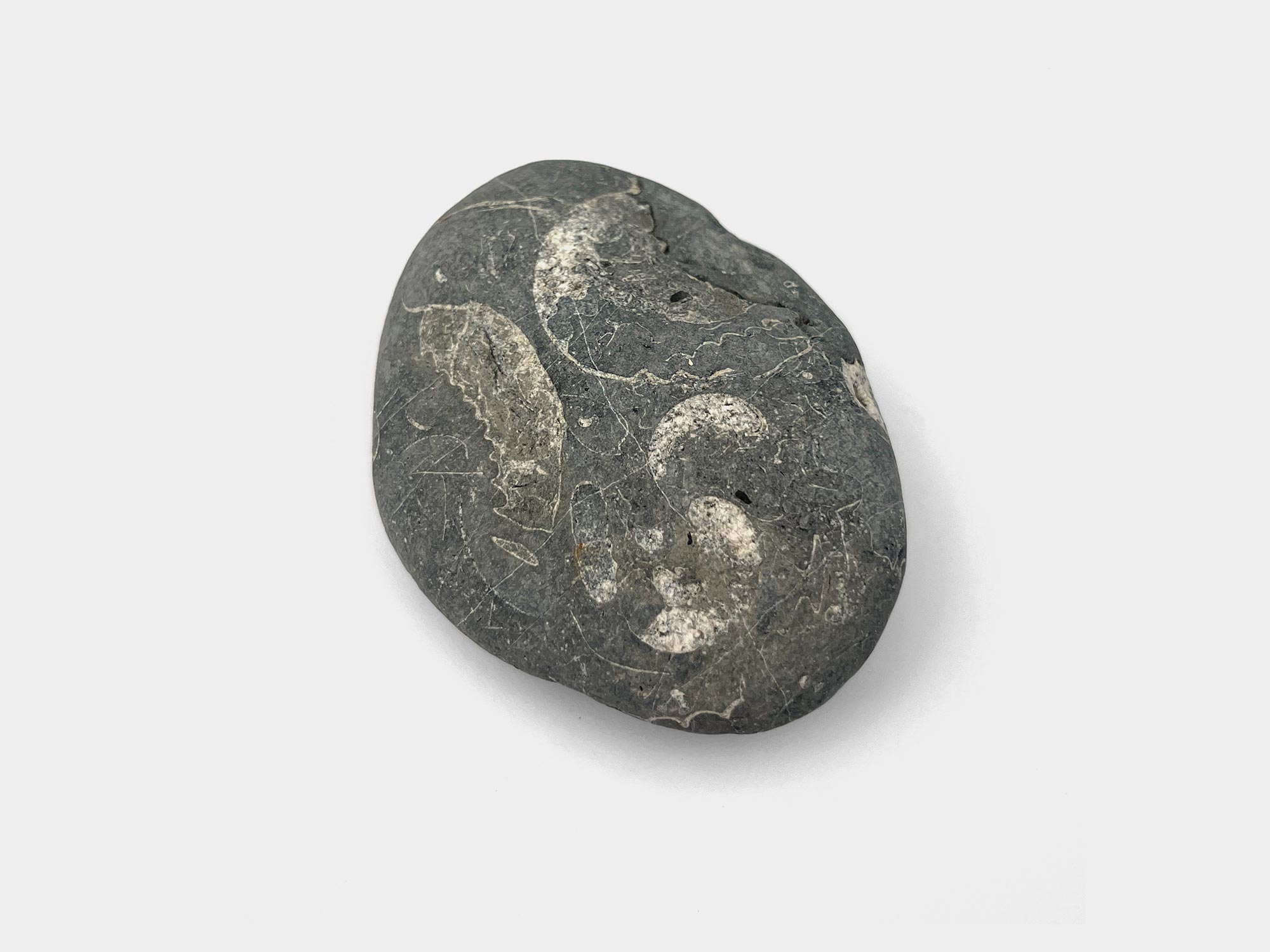 Lyme Regis, Dorset, England. January 2023