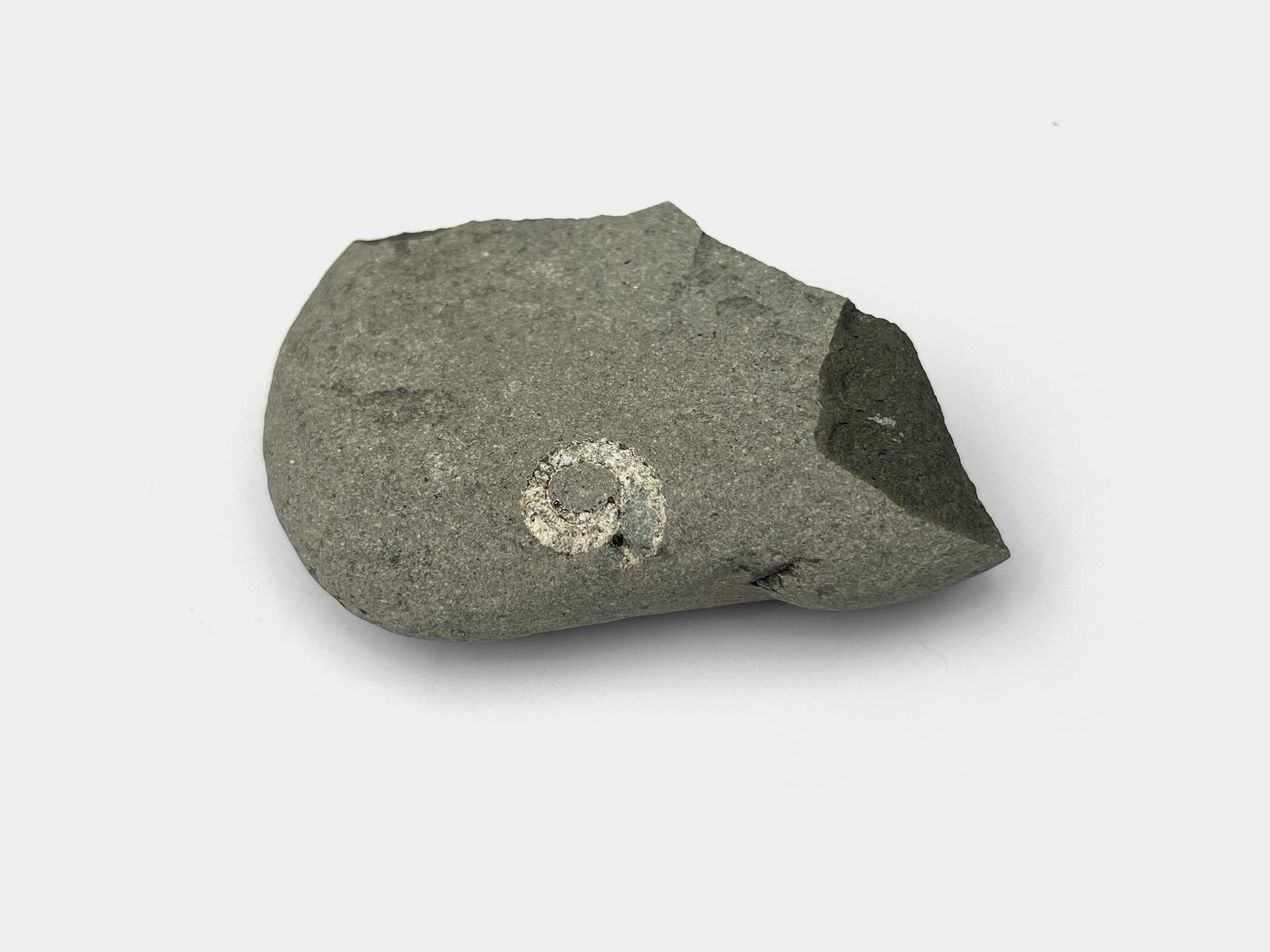 Lyme Regis, Dorset, England. January 2023