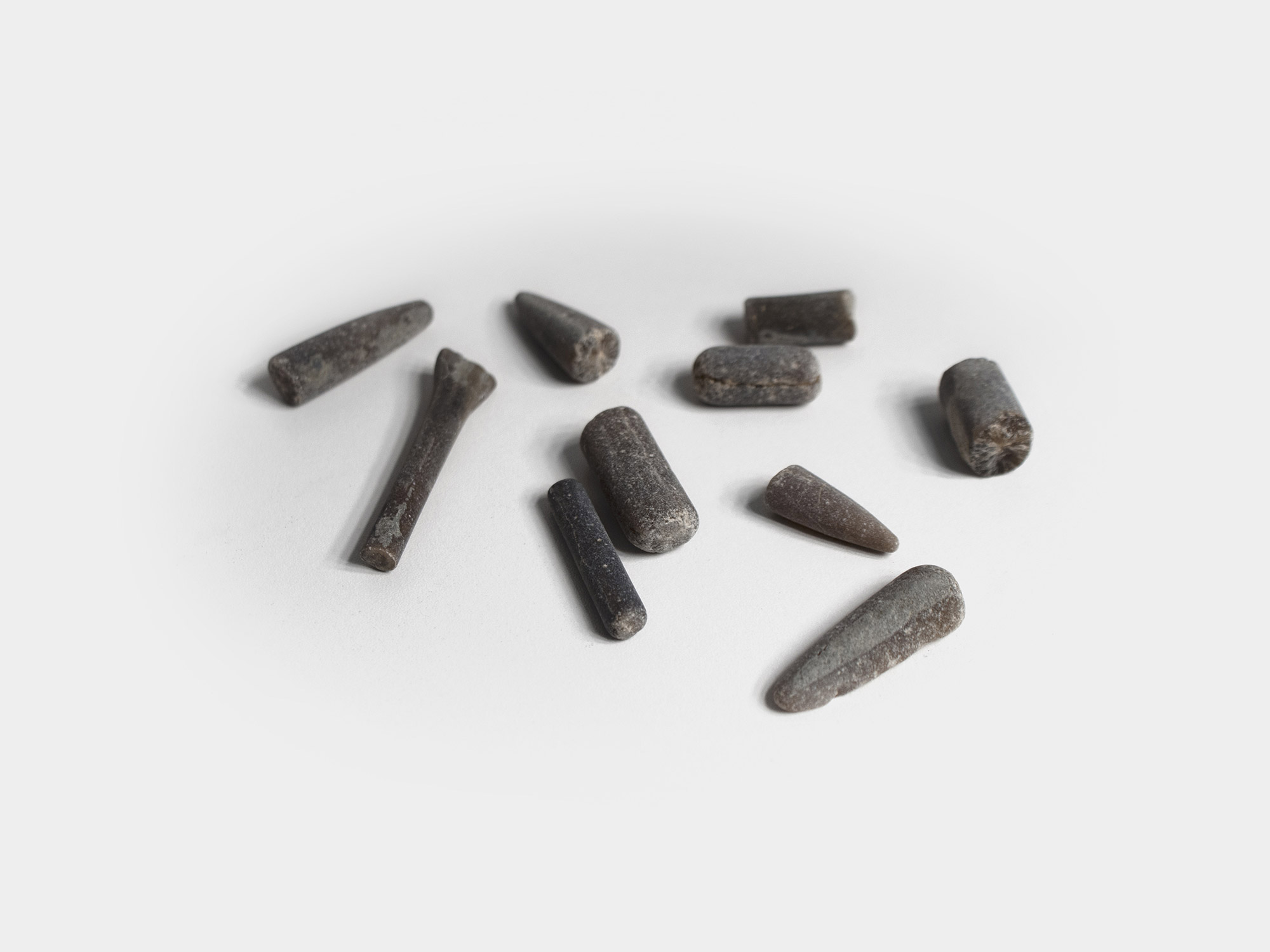 Multiple belemnite guards