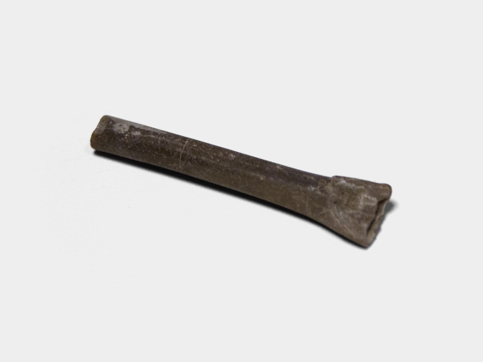 Belemnite guard