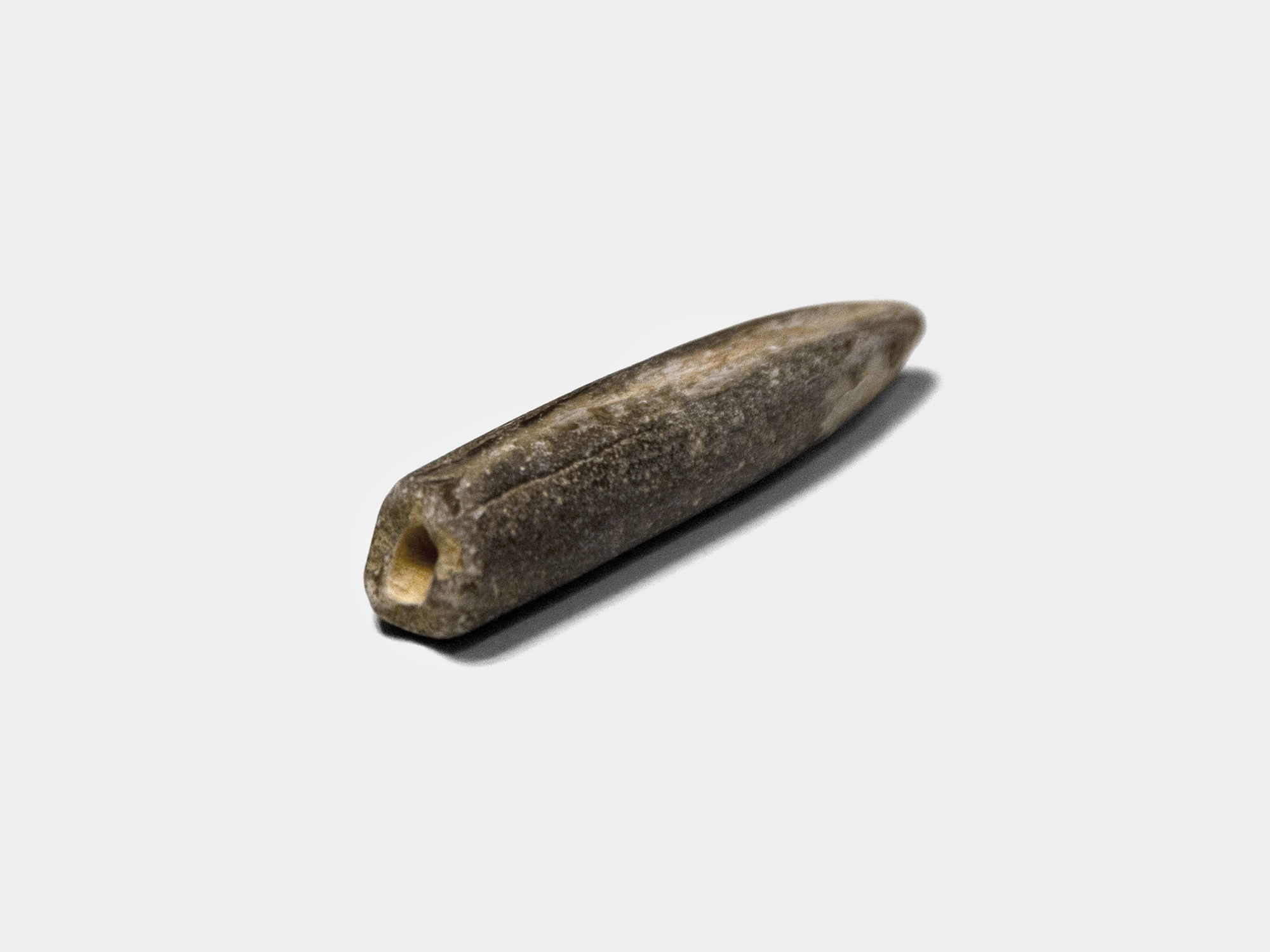 Belemnite guard
