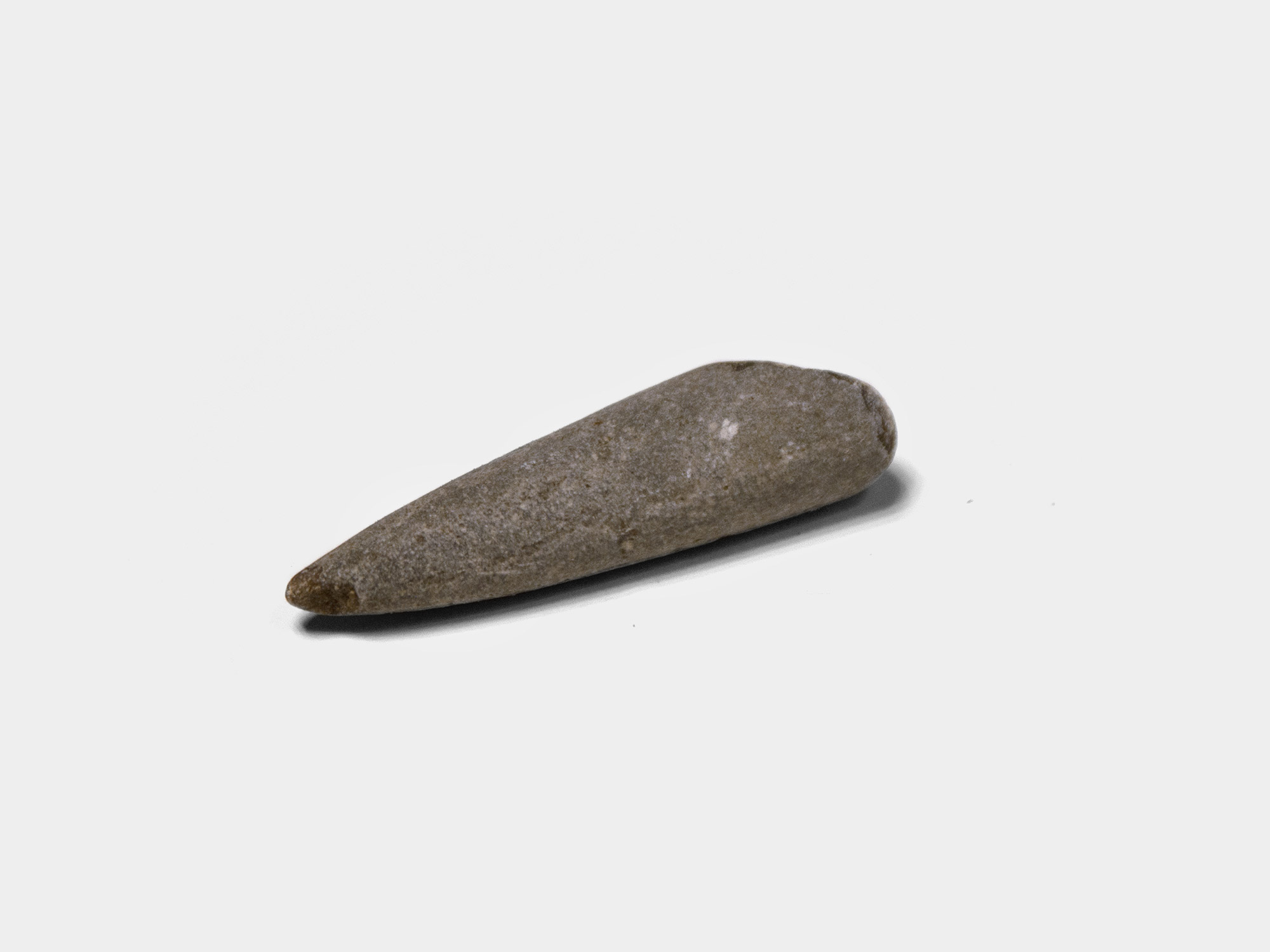 Belemnite guard