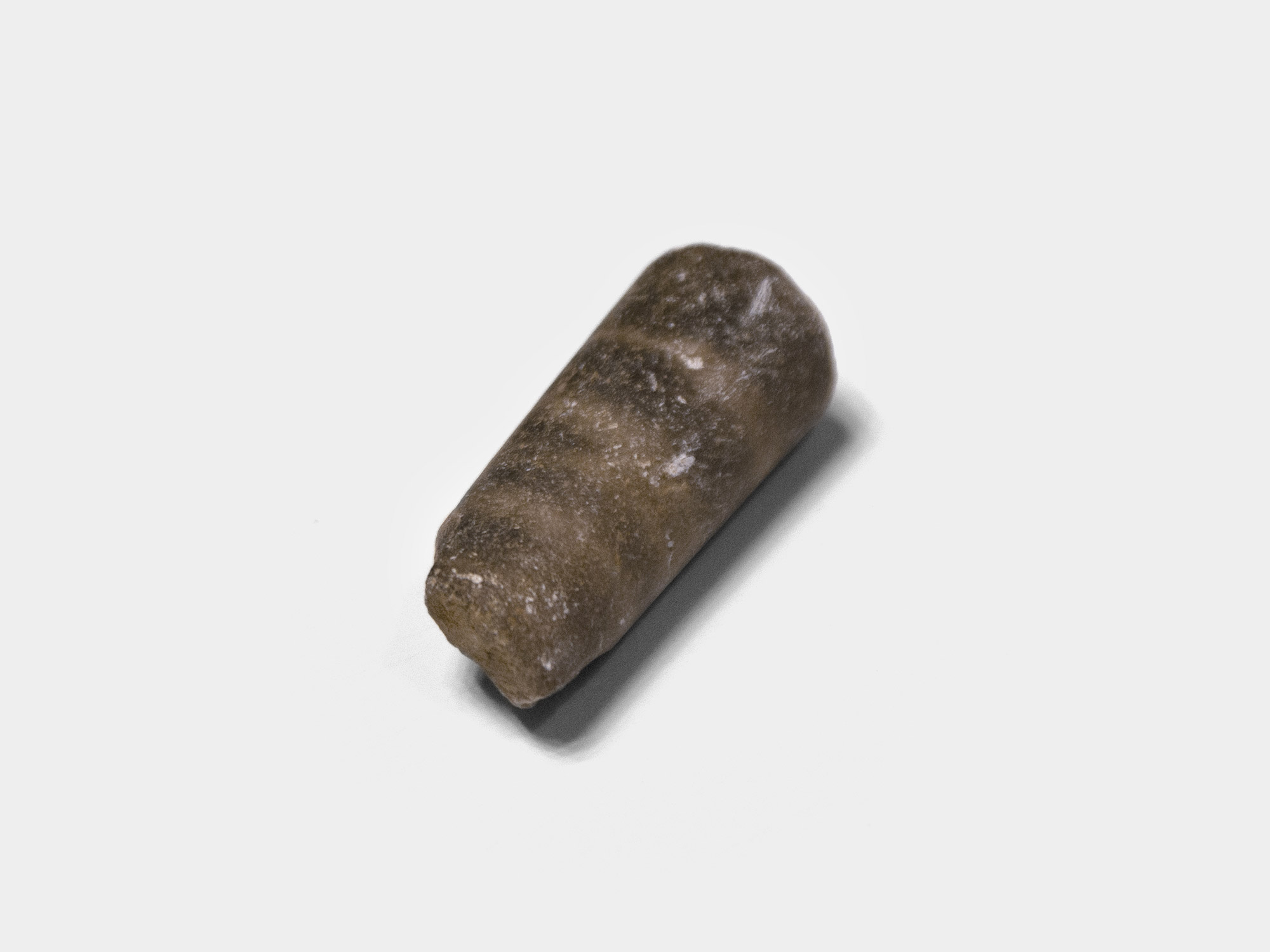 Belemnite guard piece