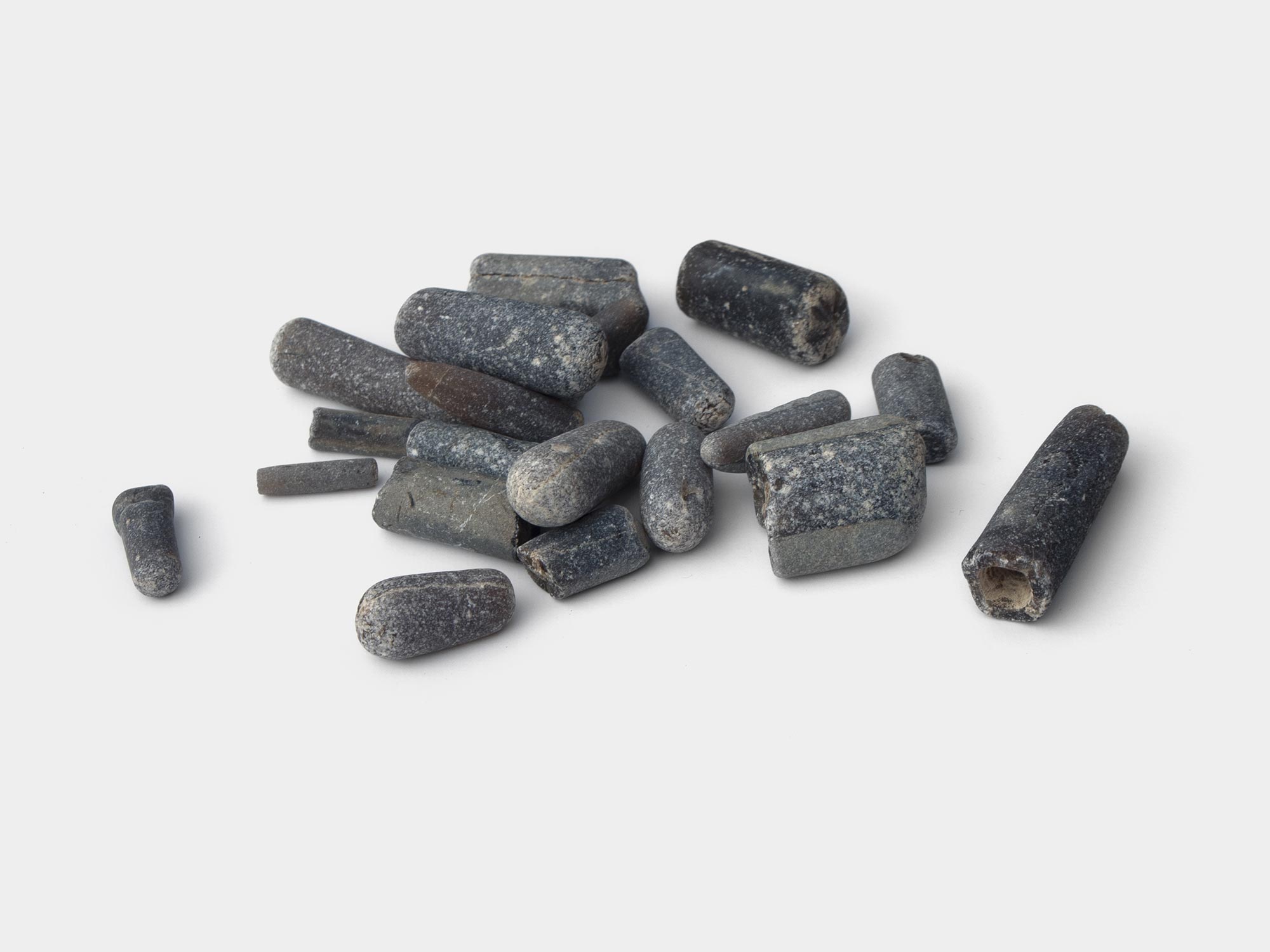 Belemnite guards. Found on Charmouth beach, Dorset, England. October 2021