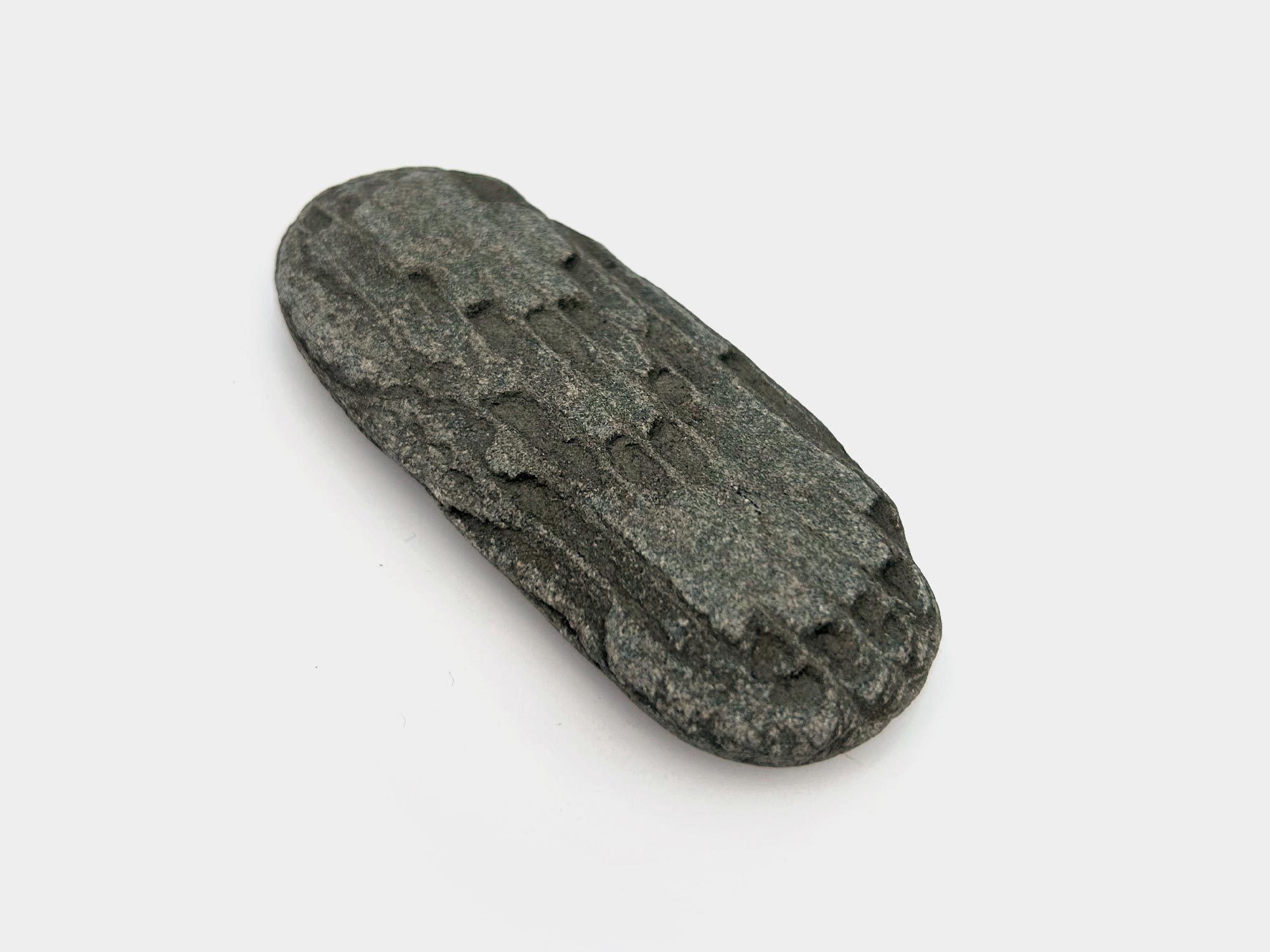 Fossilised bark. Found on Charmouth beach, Dorset, England. May 2024